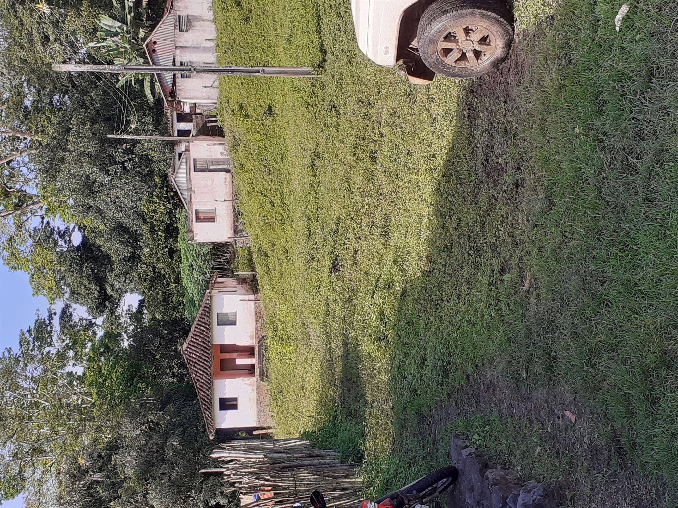 Fazenda 97 hectares a 6km de itajuipe bahia