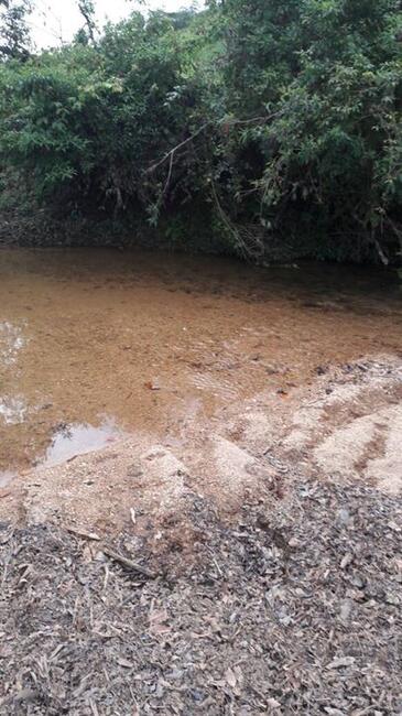 Fazenda formada pra gado 