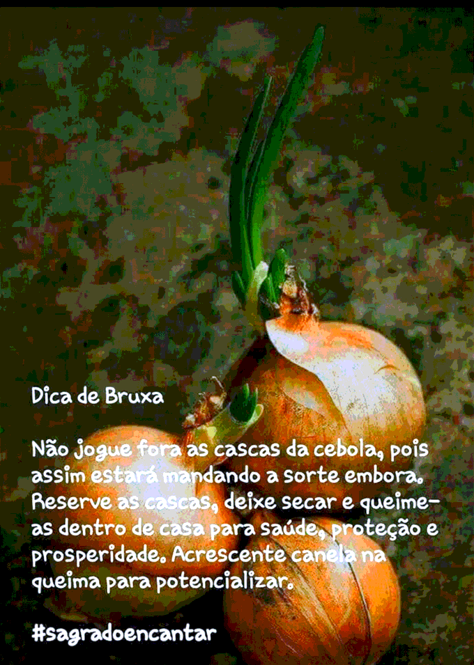Feitiço e soluções