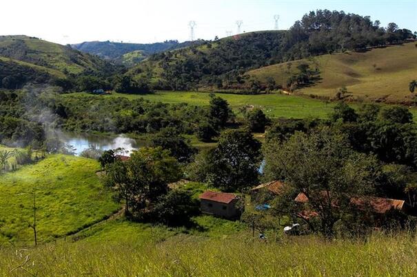 Terreno para formação chá