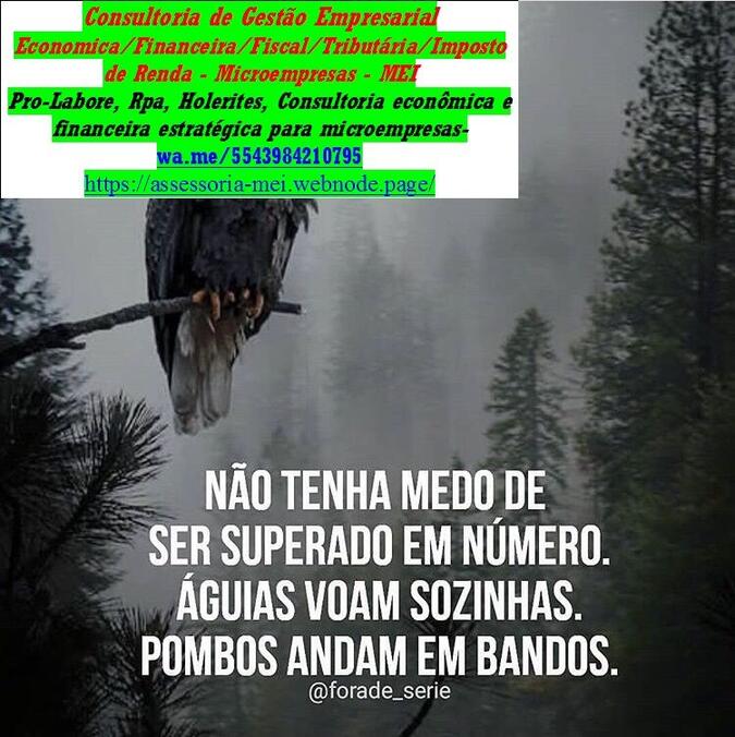 Pró-labore: o que é, como
