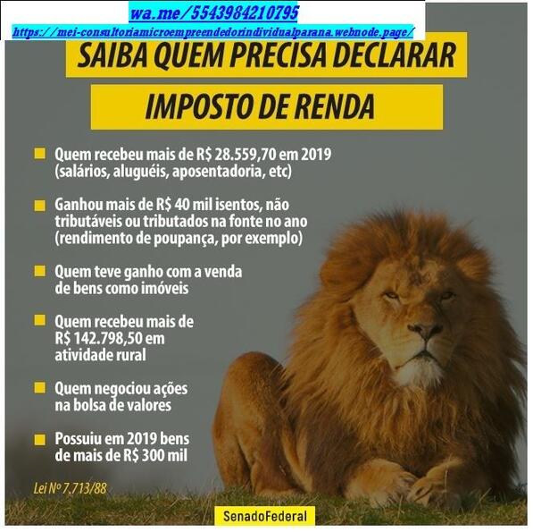 Declaração Anual do MEI -