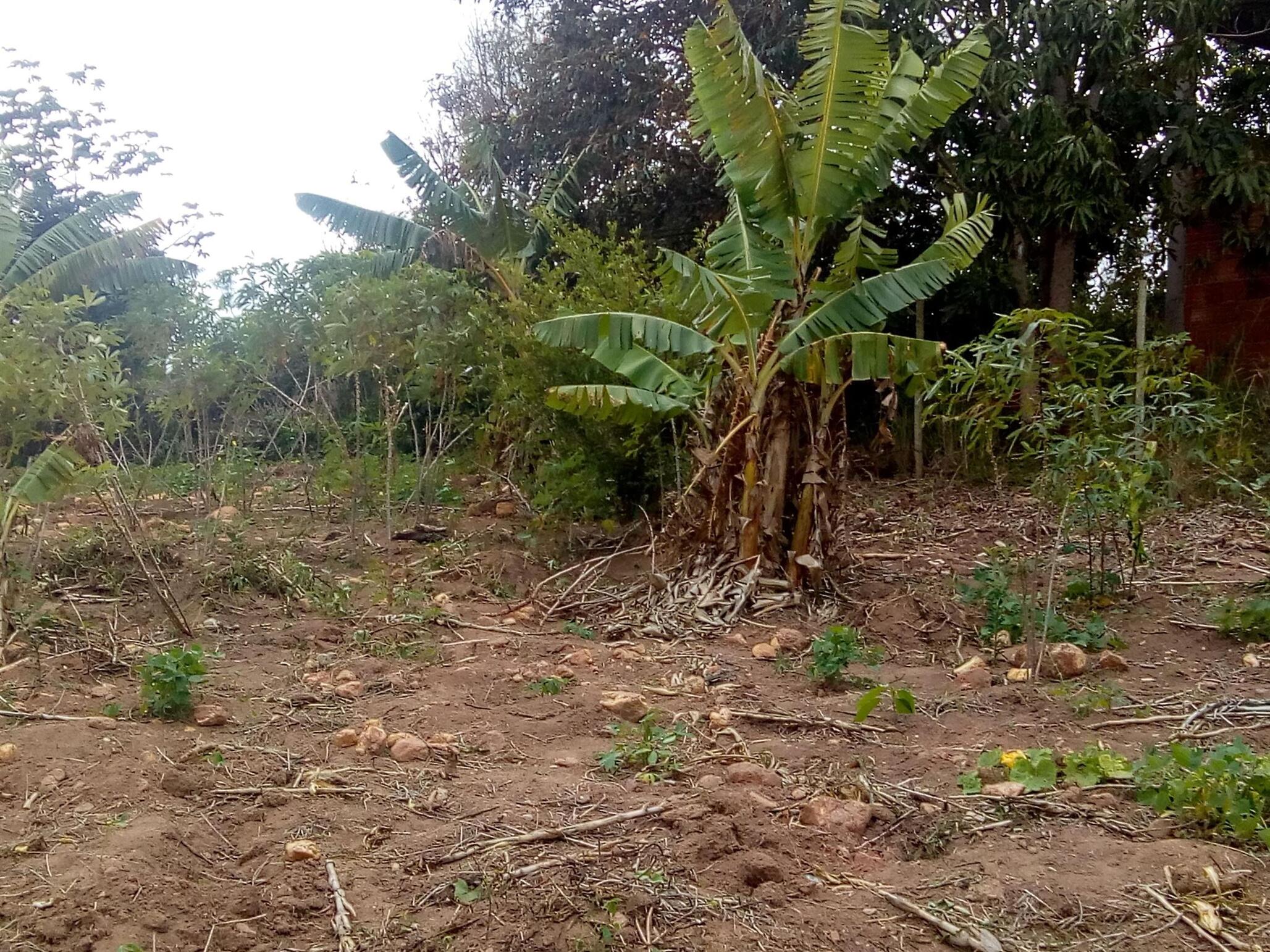 Vendo excelente terreno próximo da Praia em Búzios-RJ