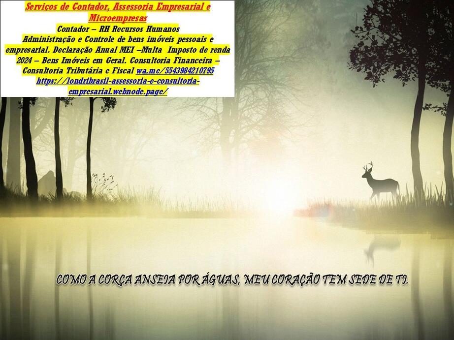 Aulas de Contabilidade a 
