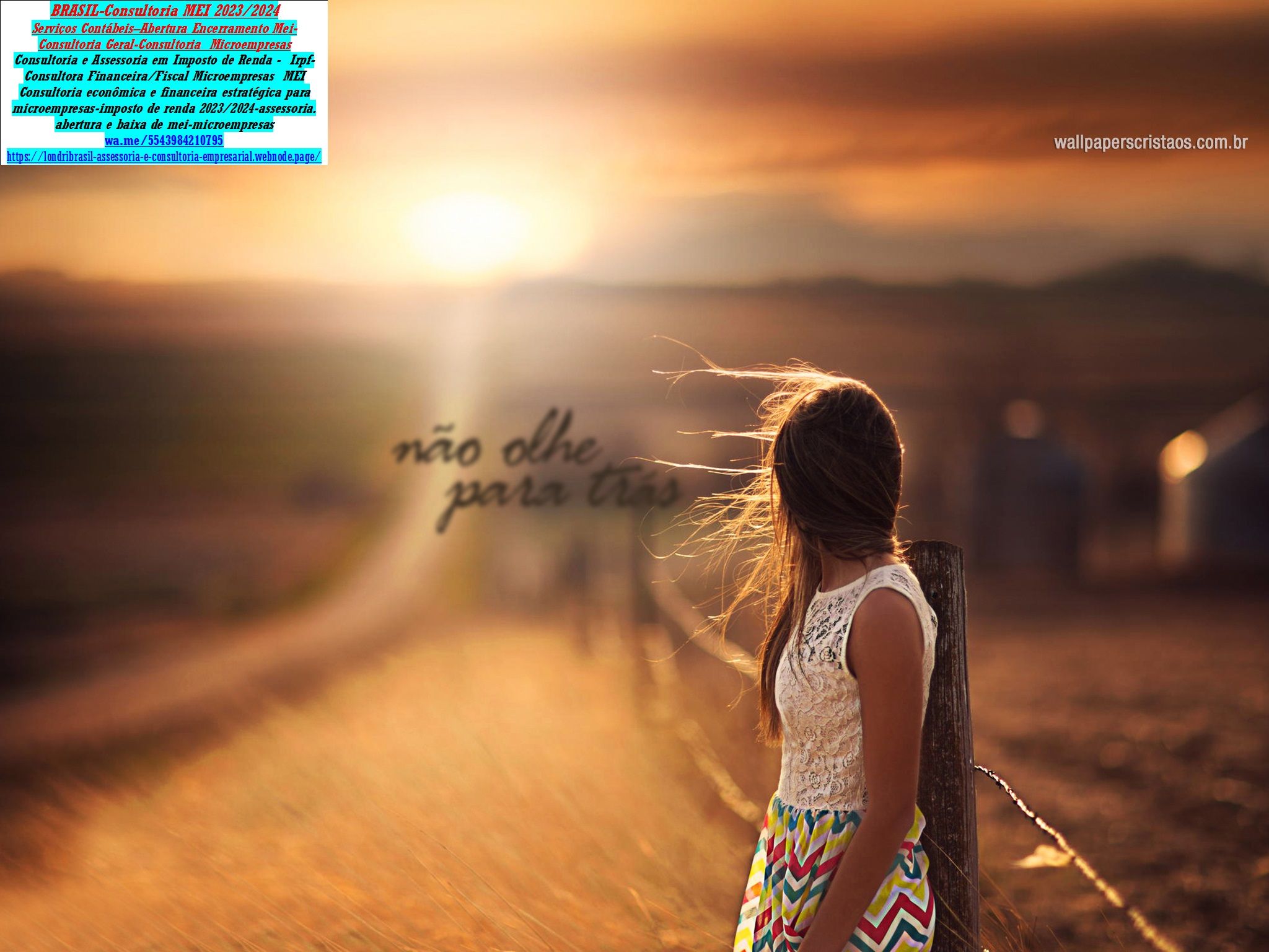 Assessoria Microempresas,