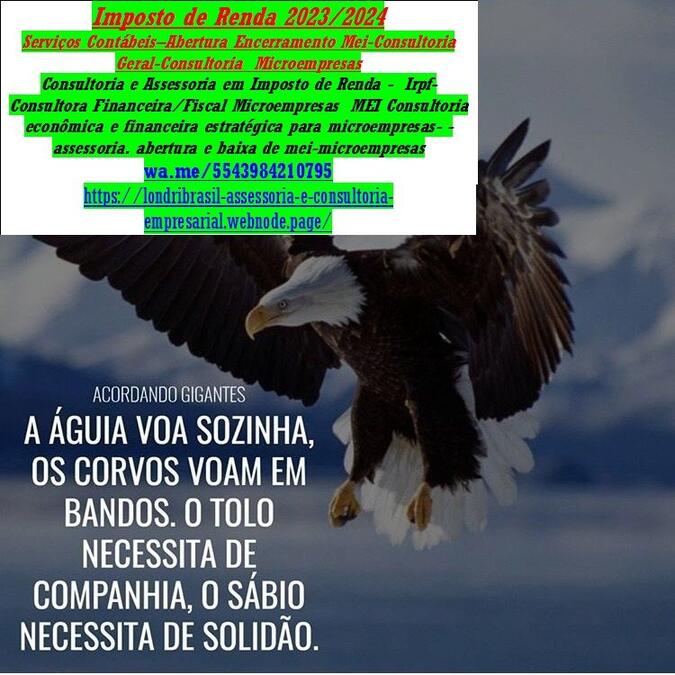 Declaração Anual do MEI D