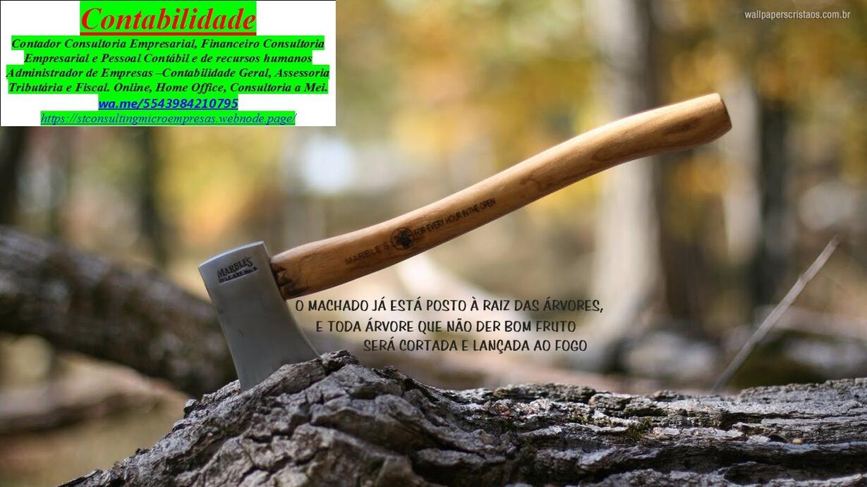serviços de Segurança pes