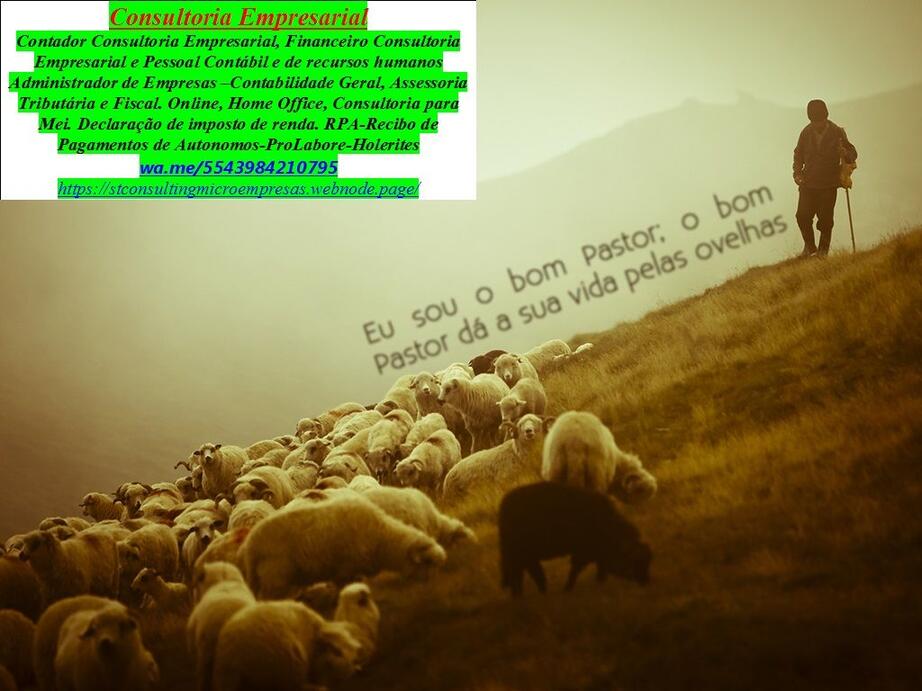 Bahia Consultoria Empresa
