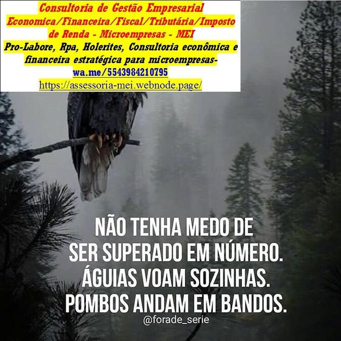 Como Comprovar Renda send
