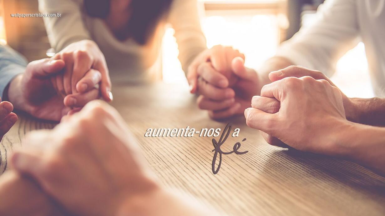 Assessor  e Consultor Con