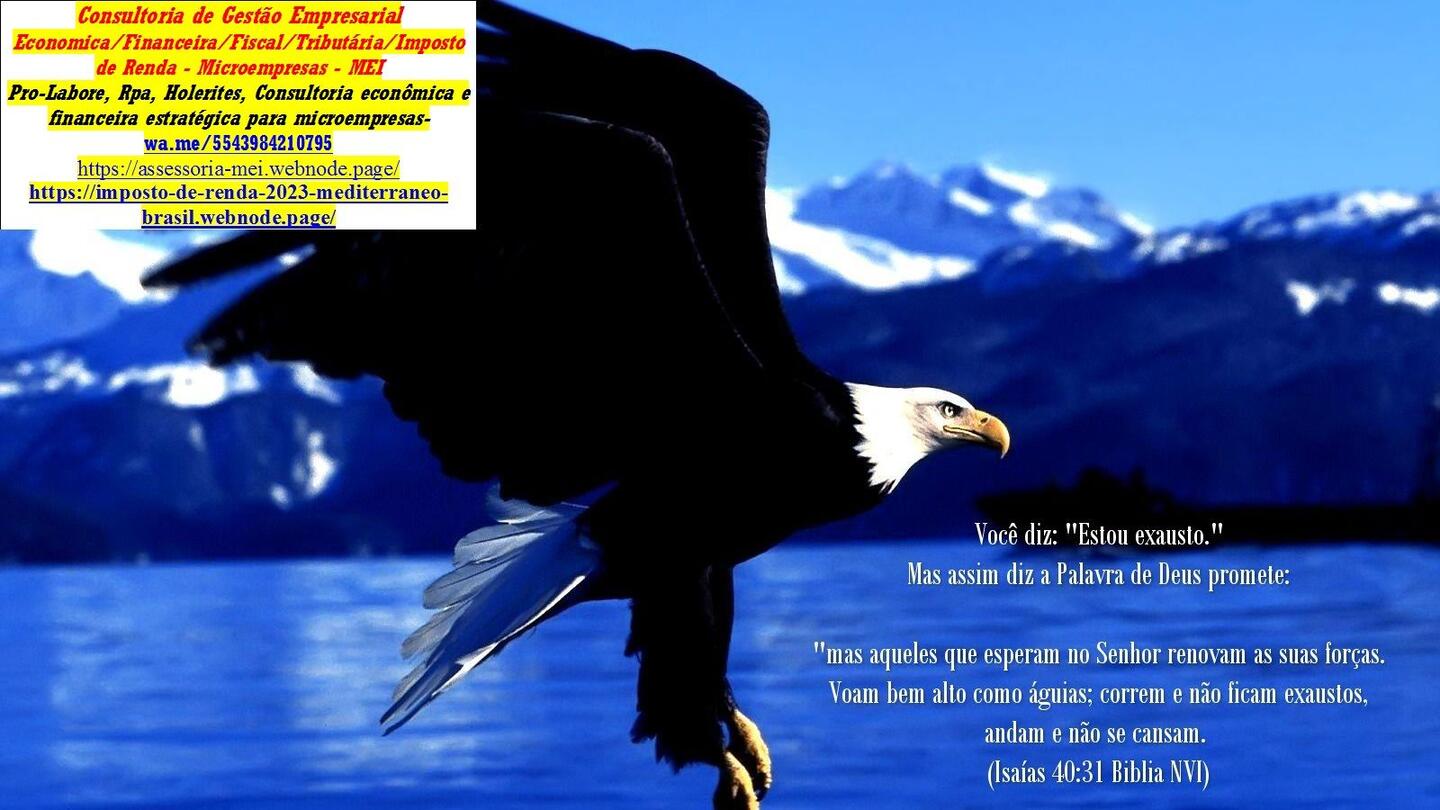 Como criar seu site: o qu