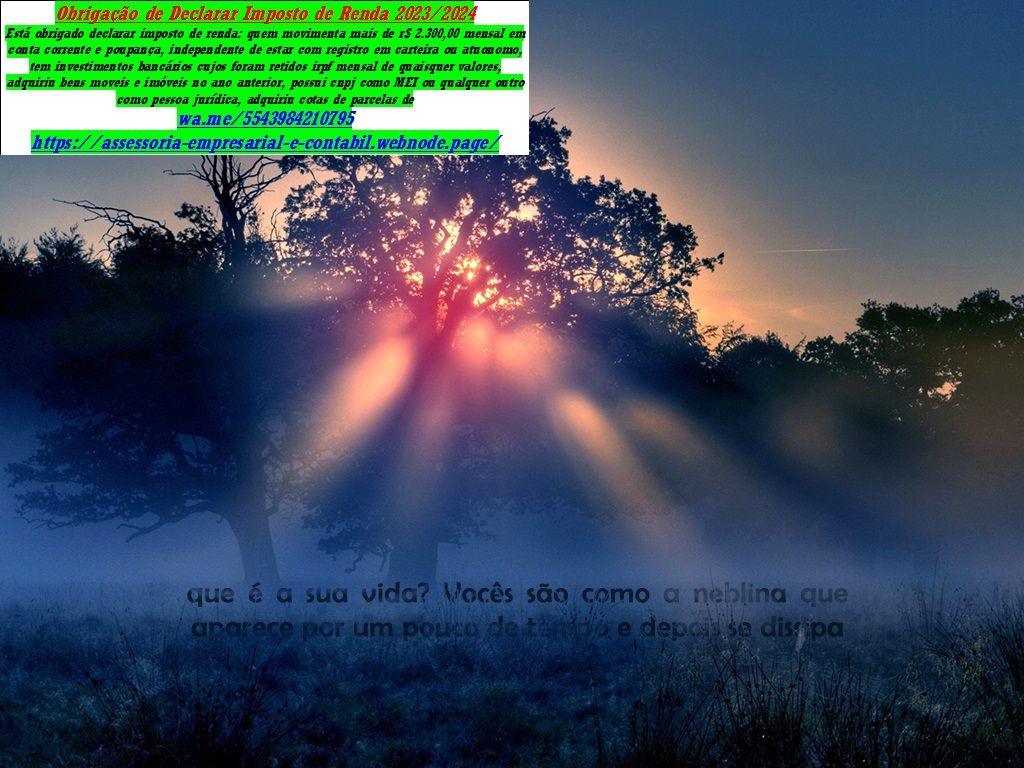 O Contador em Londrina - 