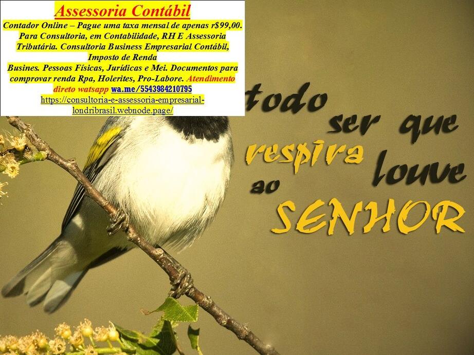  MARKETING DIGITAL BRASIL
