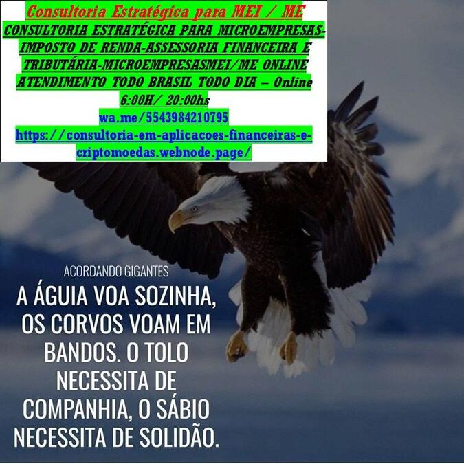 Mei Imposto de Renda 2025
