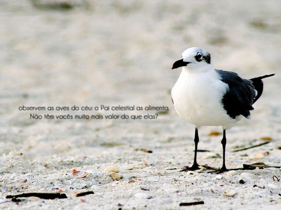 Como fazer controle de fl