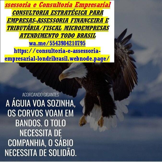  Consultoria Mei 