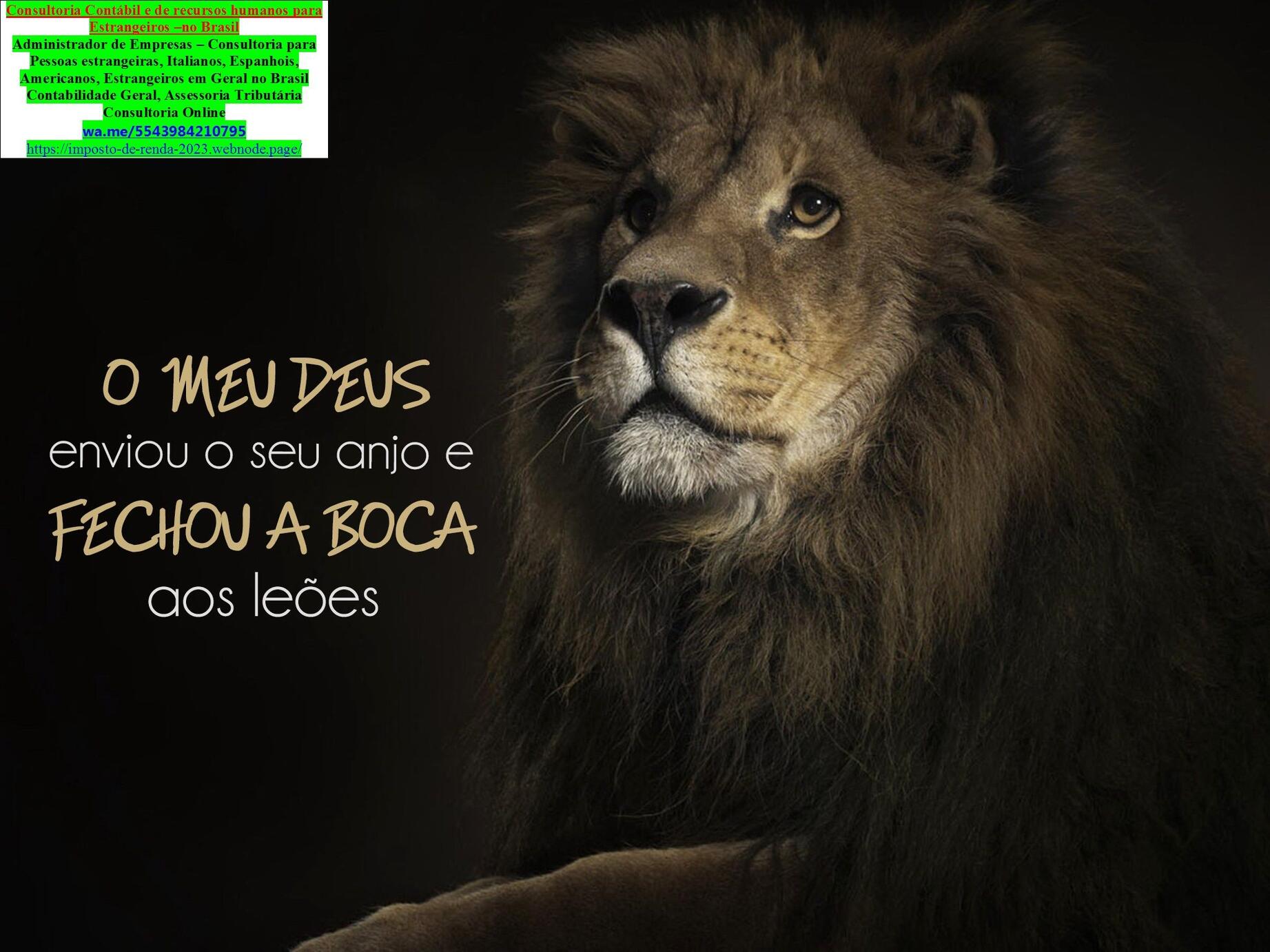 O Contador em Londrina - 