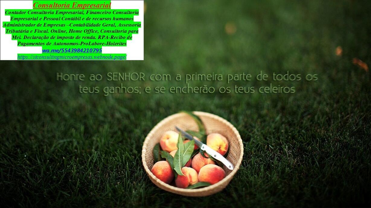Serviços de IRPF 2025