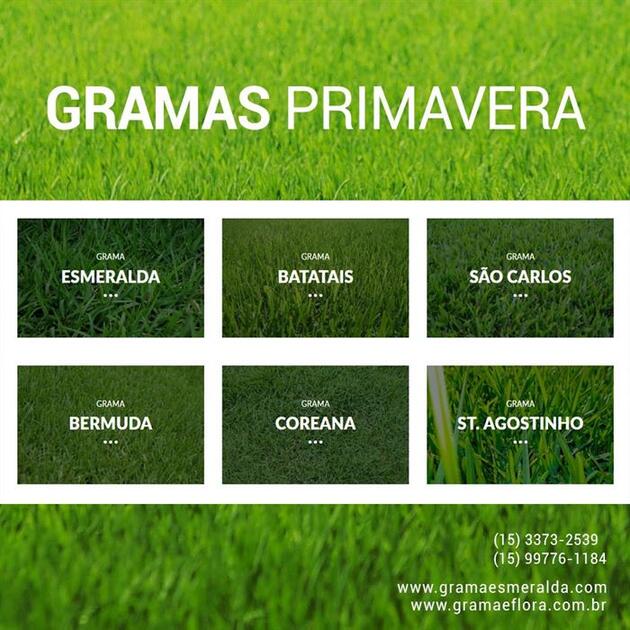 Gramas Esmeralda