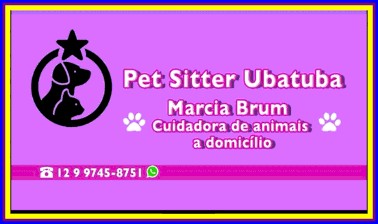 Pet Sitter